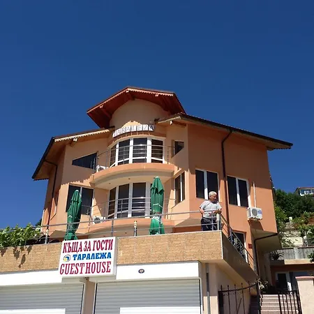 Guest house Taraleja 2*